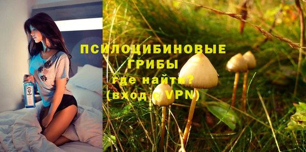 мдпв Балахна