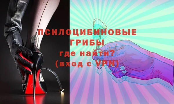 мдпв Балахна